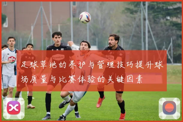 足球草地的养护与管理技巧提升球场质量与比赛体验的关键因素