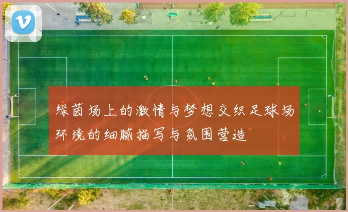 绿茵场上的激情与梦想交织足球场环境的细腻描写与氛围营造