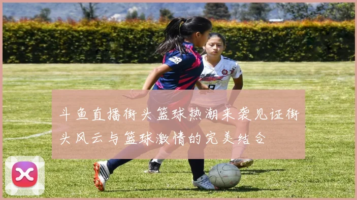 斗鱼直播街头篮球热潮来袭见证街头风云与篮球激情的完美结合